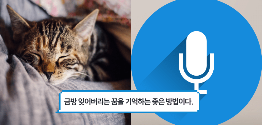 괜찮은 꿈 오래 기억하는 #별별팁