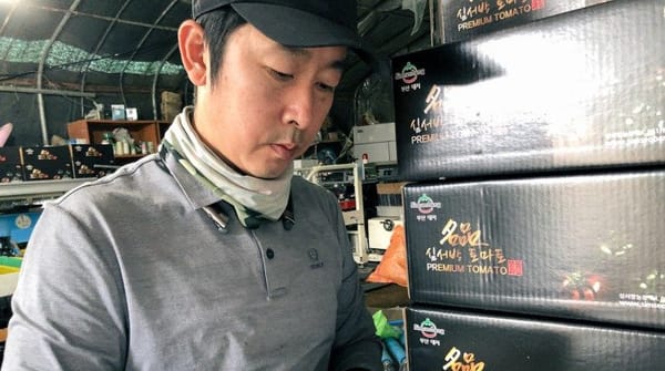 사랑받은 사람의 도리, 심영호 대저 토마토 농부