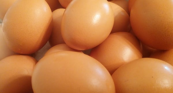 달걀을 매일 먹어도 괜찮을까?