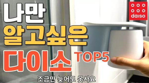 가성비 넘치는 다이소 추천 아이템 5가지