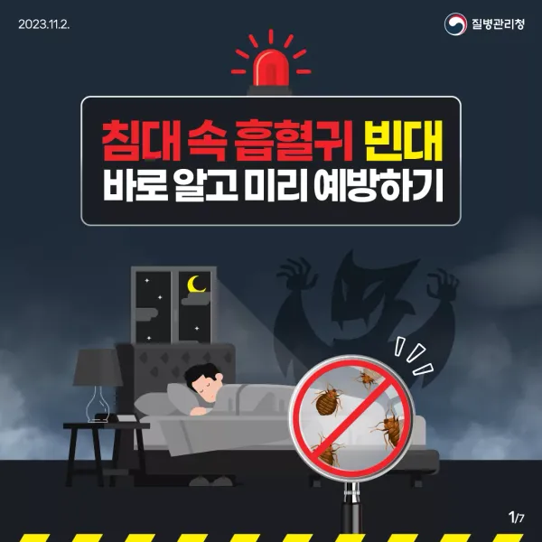 질병관리청이 알려주는 요즘 유행하는 빈대 예방법
