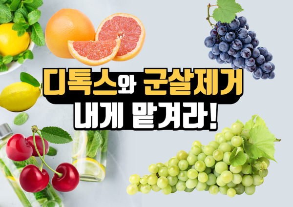 디톡스와 군살 빼기는 내게 맡겨라! 추천 과일 3가지