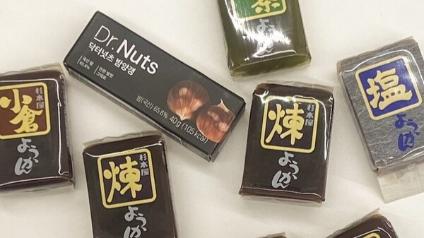 밤양갱의 기원을 찾아서