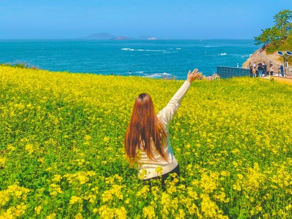 꽃놀이 대신 꽃 속을 걷는다”... 승우여행사, 오감만족 ‘봄꽃 트레킹’ 5선 출시